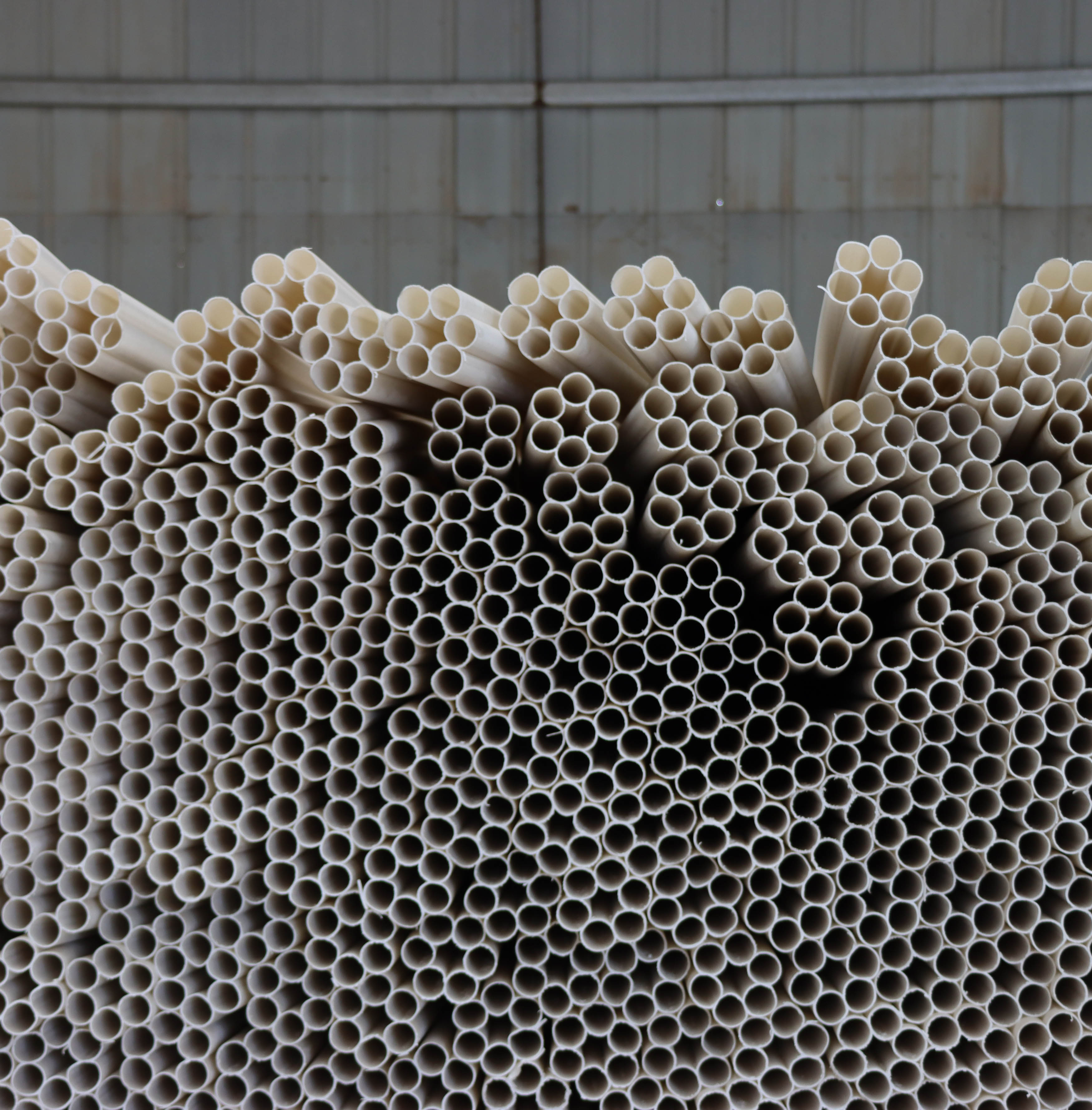 驻马店专业麻豆免费视频观看价格